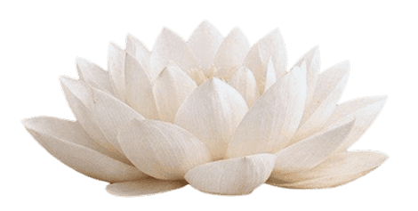 picture flower